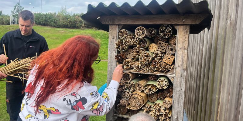 A woman is placing some sticks inside a bug hotel outside Constantine college. The structure is filled with tubes of bamboo sticks, wood, and cardboard.